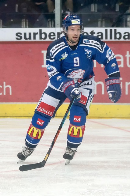 带来新的活 带来新的活