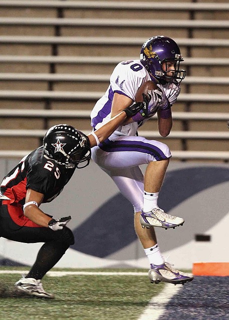 球迷们期望 球迷们期望